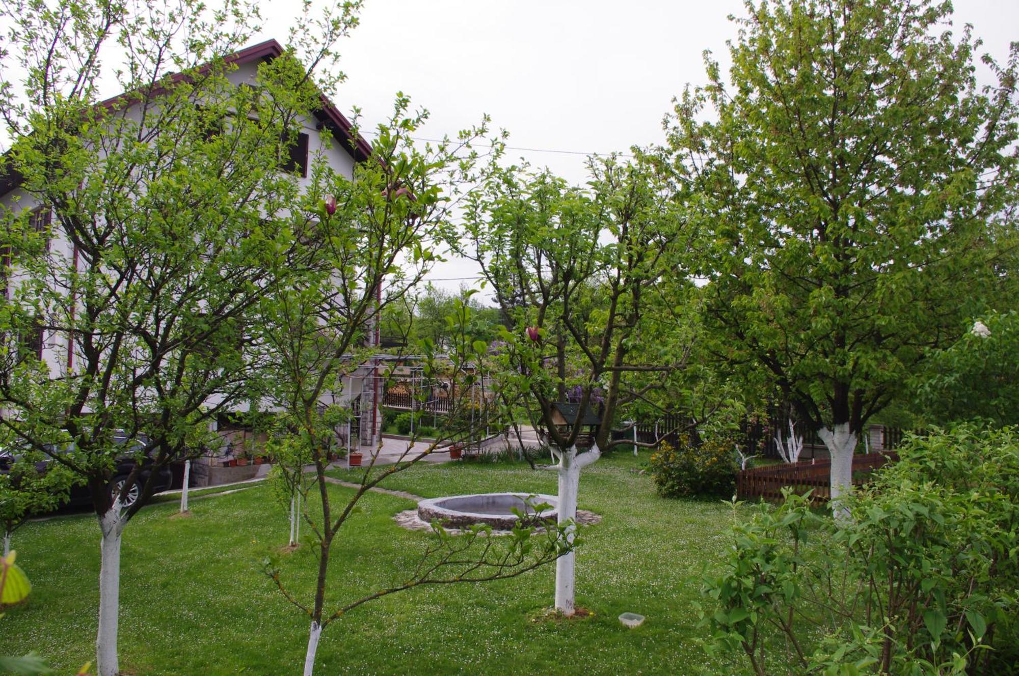 Apartment Tomy Slunj Exteriér fotografie